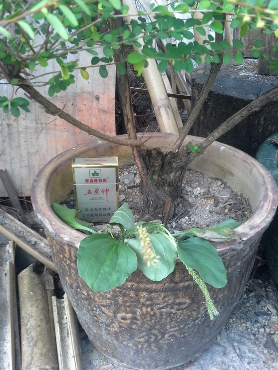 20140907_154901_С.jpg