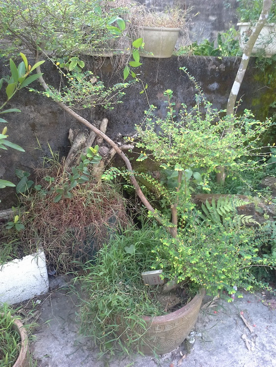 20140907_155808_С.jpg