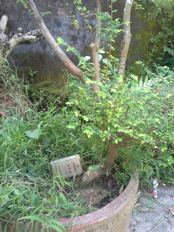 20140907_155816_С.jpg