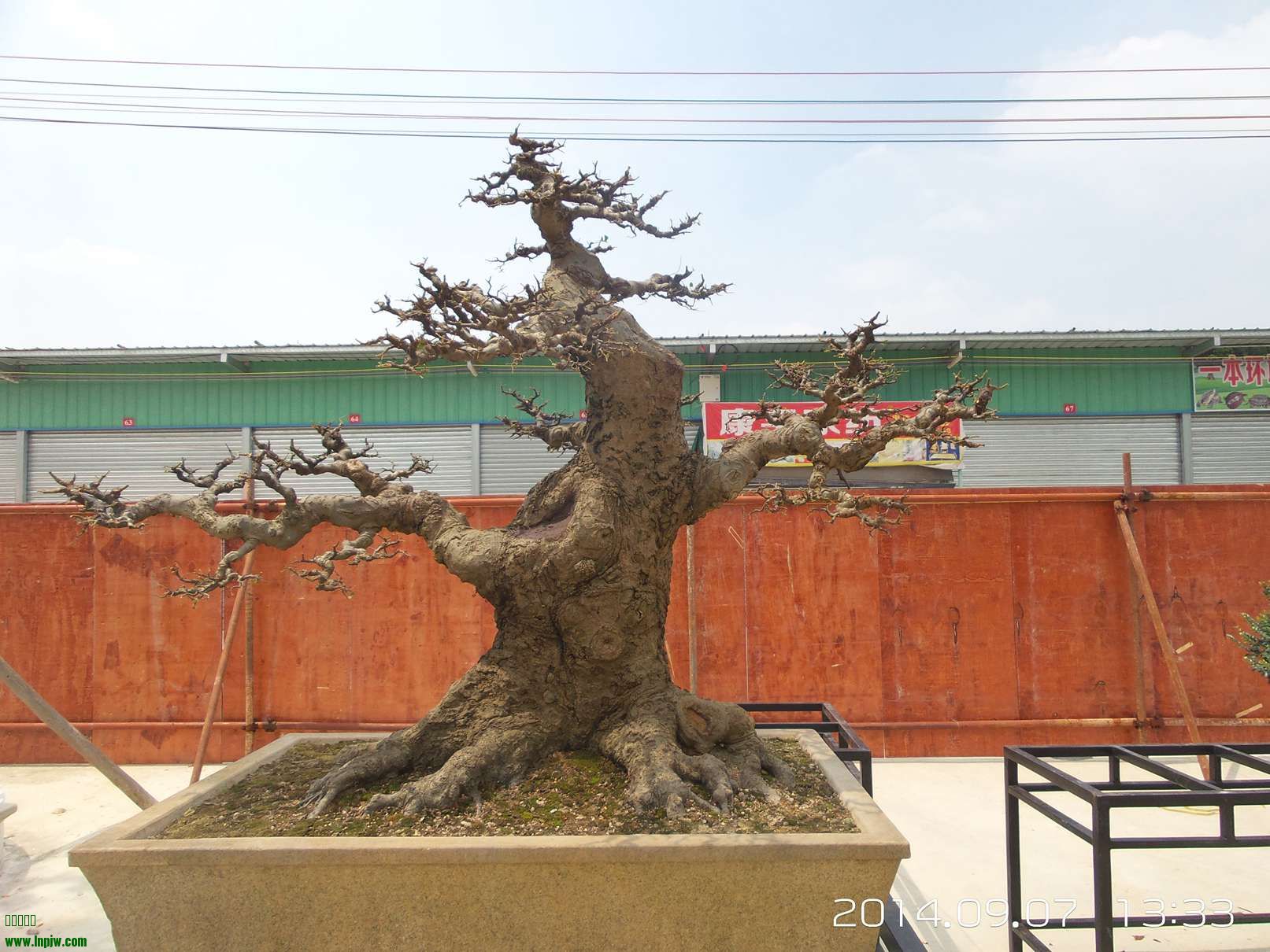 20140907_133352.jpg