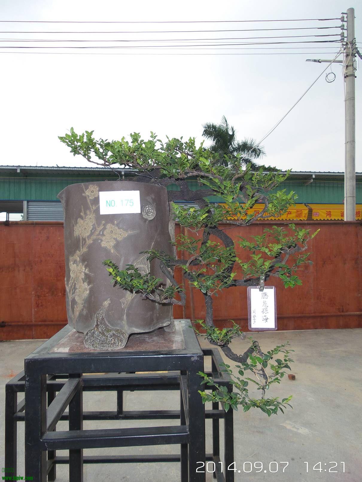 20140907_142154.jpg