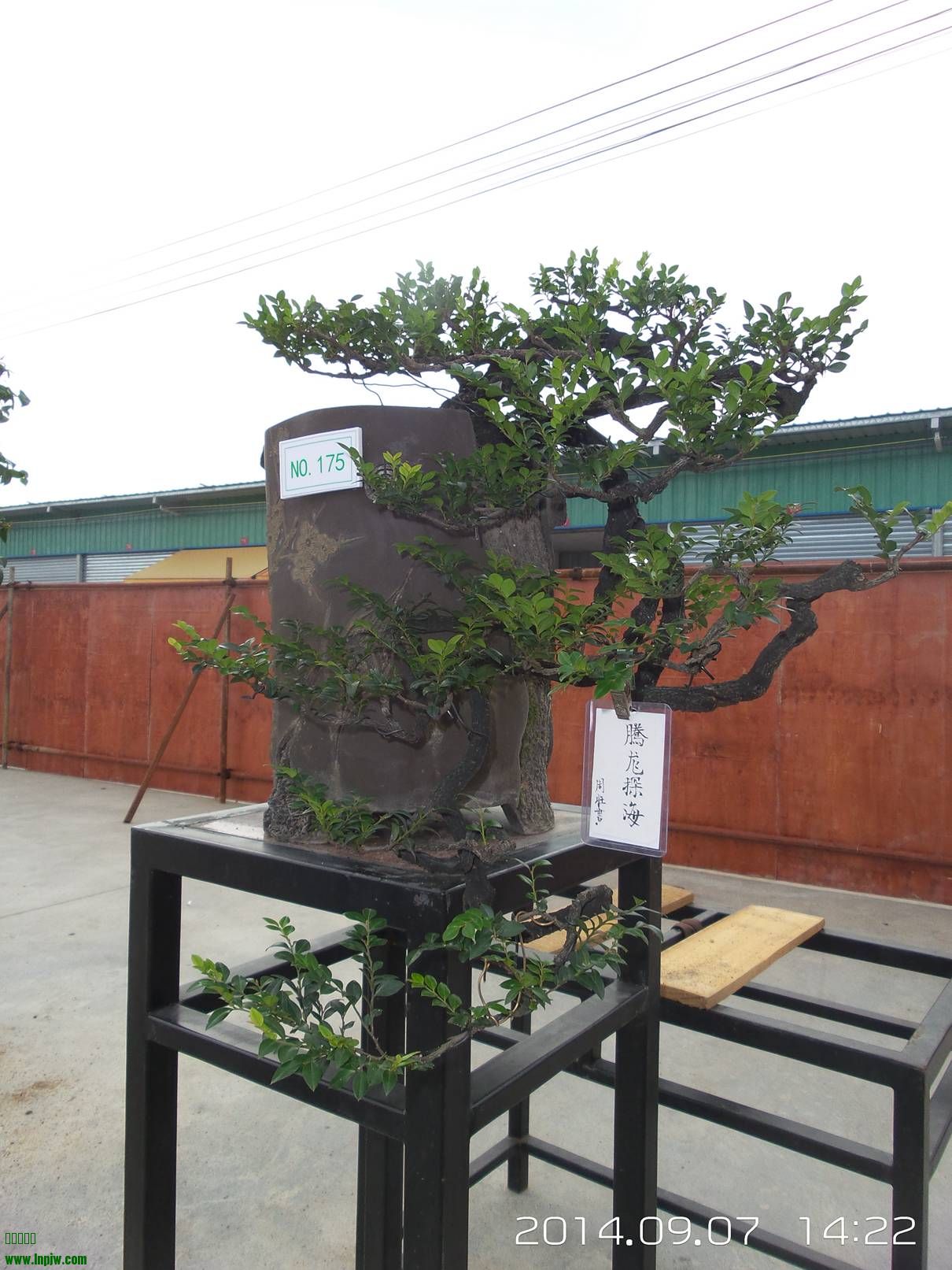 20140907_142224.jpg