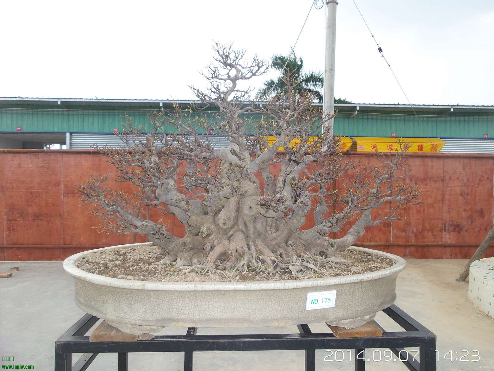 20140907_142316.jpg