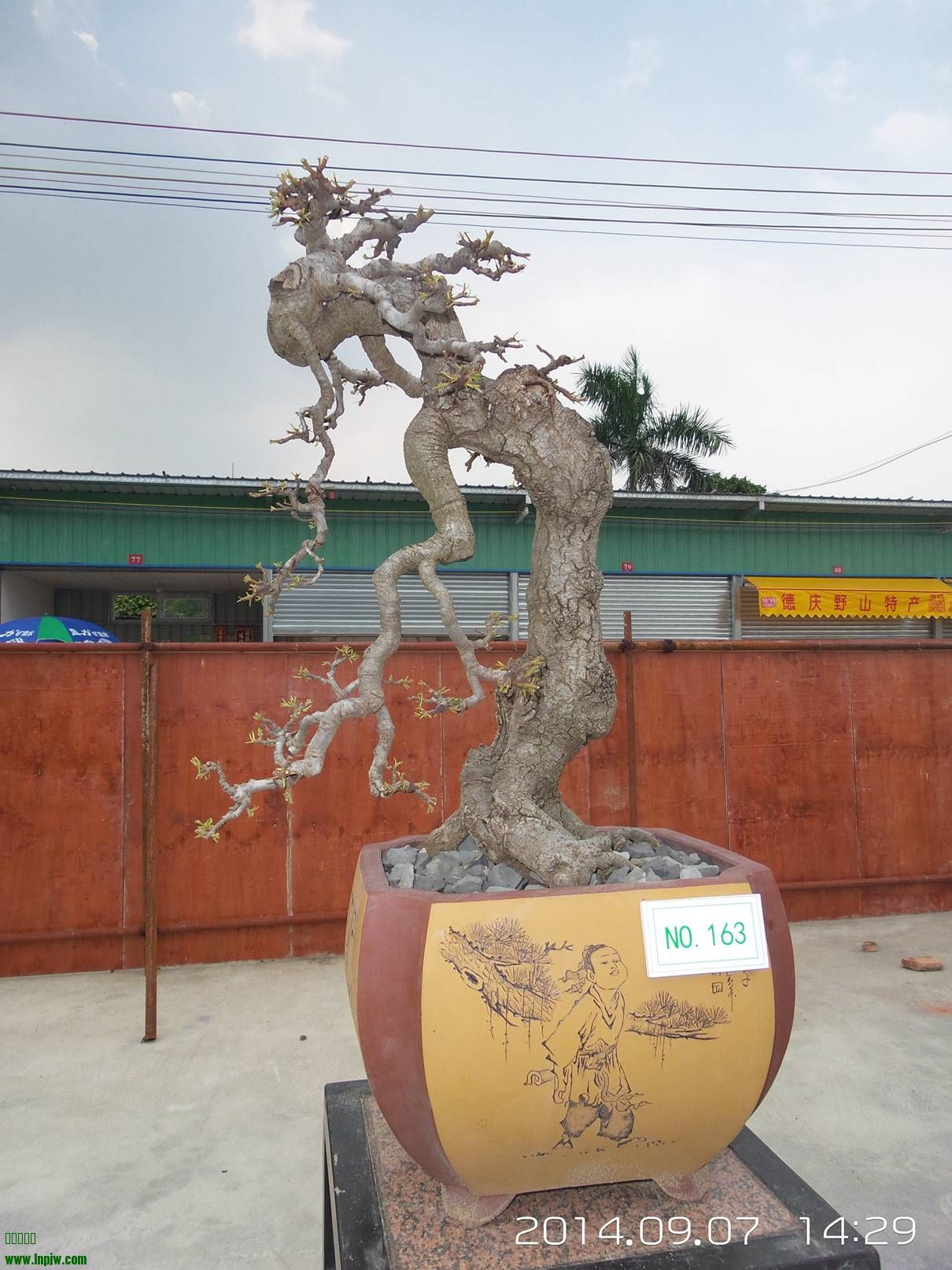 20140907_142945.jpg