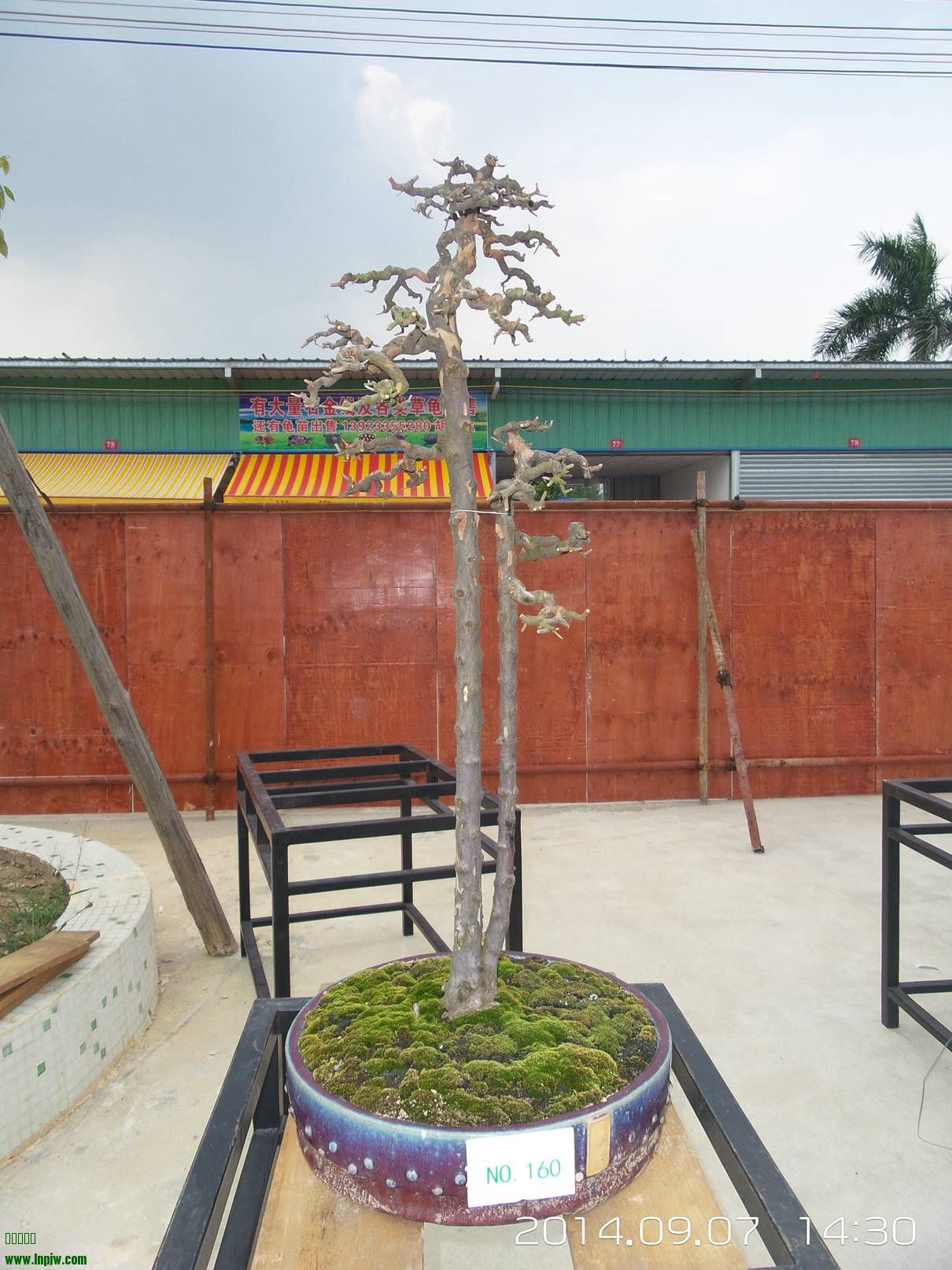 20140907_143015.jpg