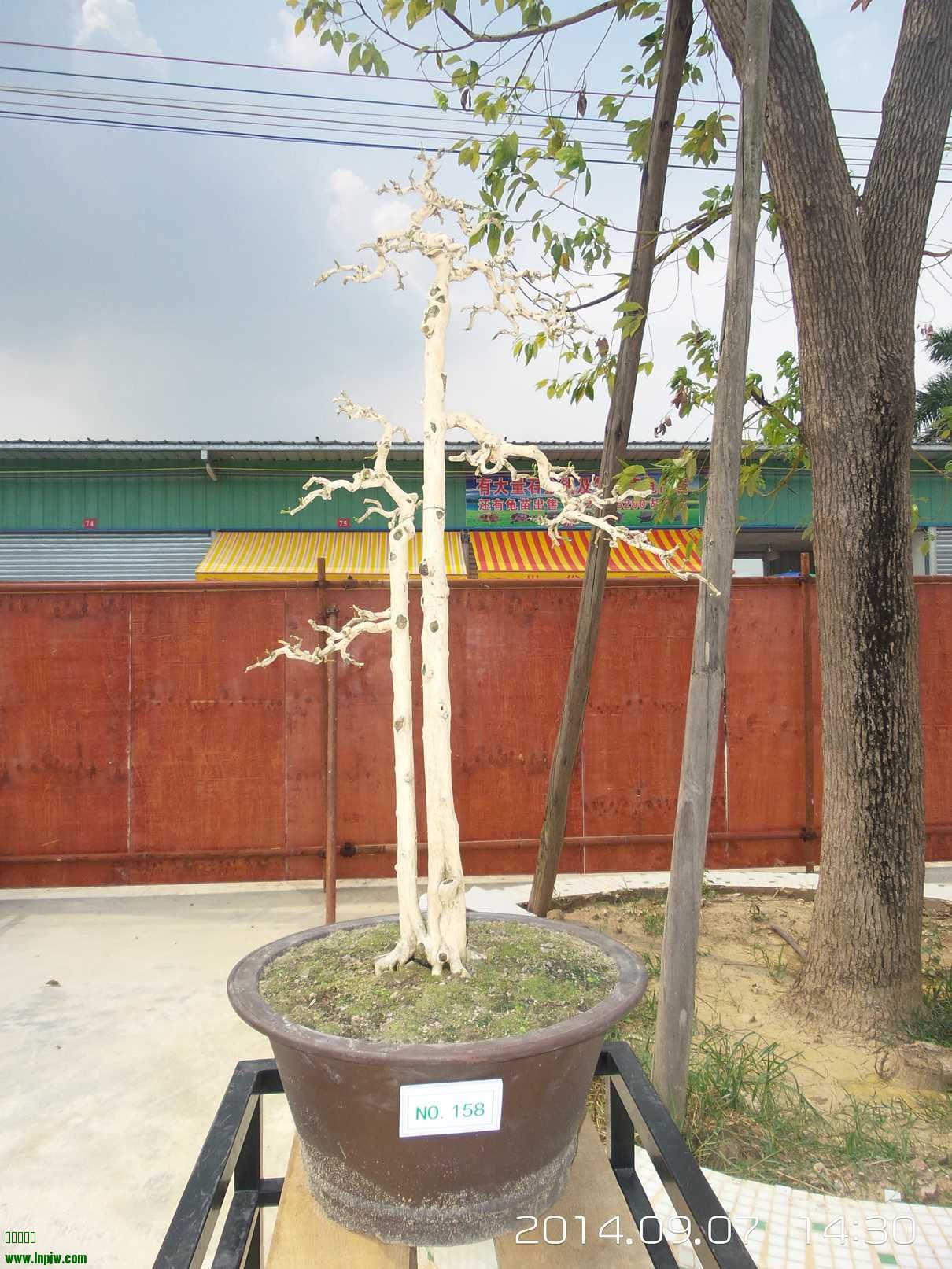 20140907_143033.jpg