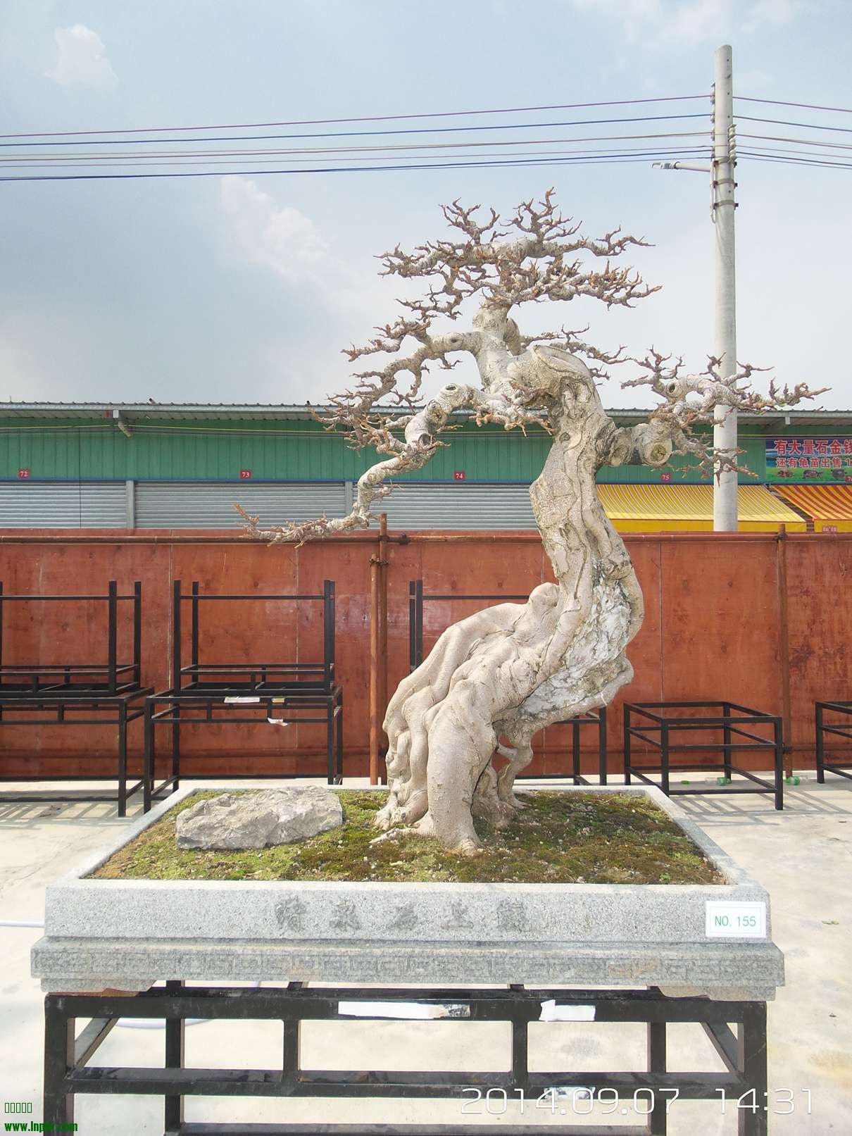 20140907_143146.jpg