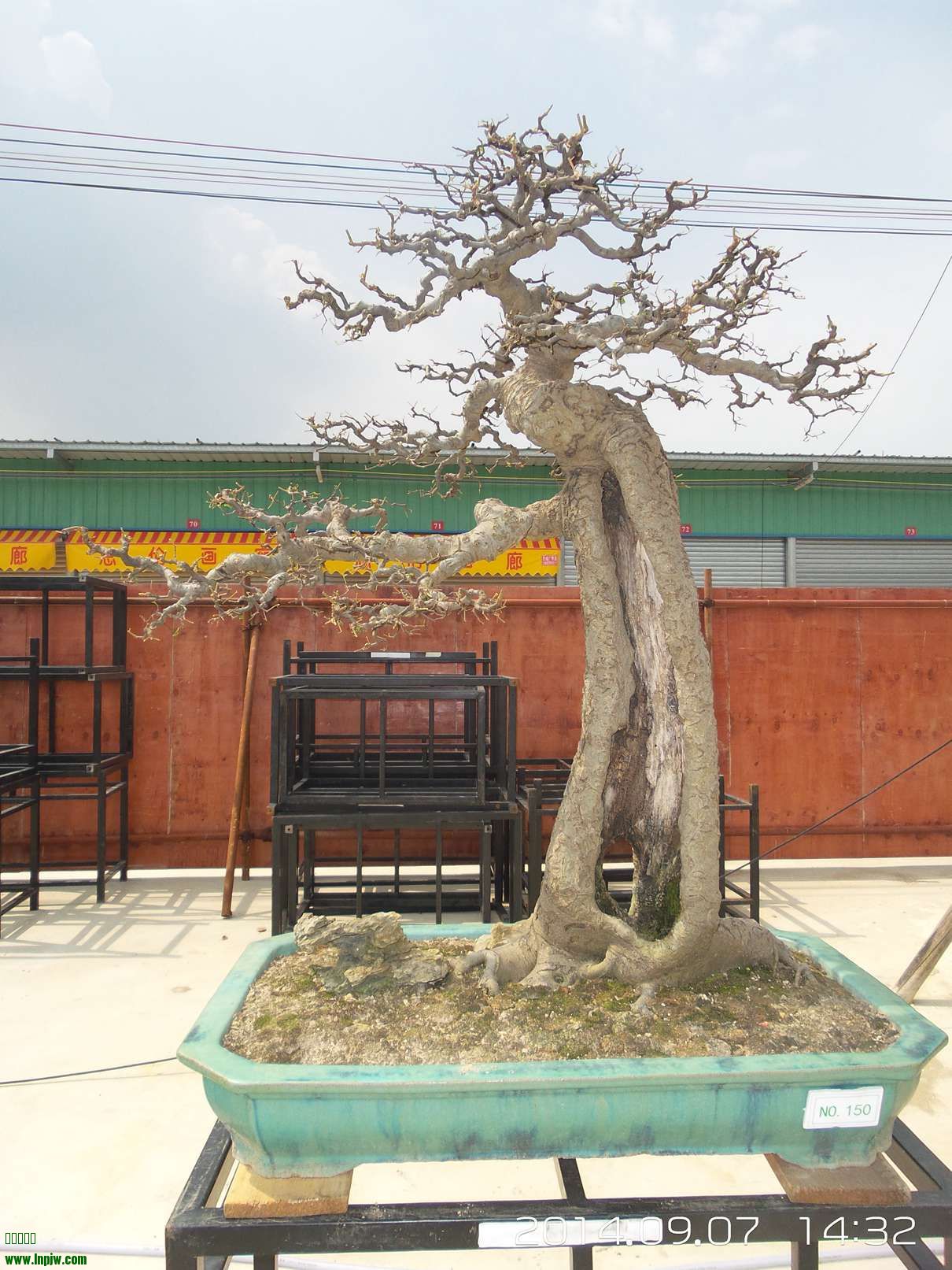 20140907_143218.jpg