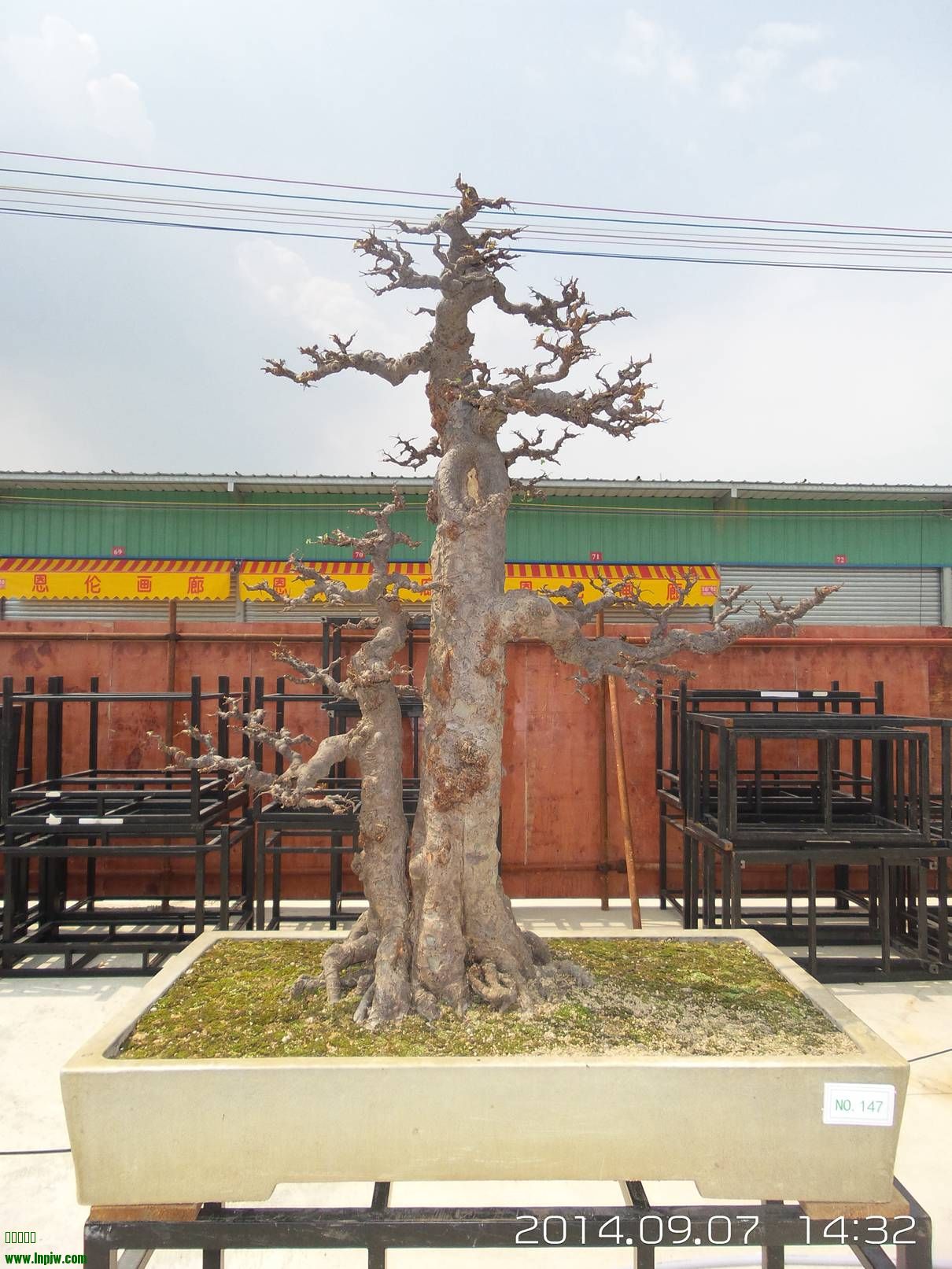 20140907_143224.jpg