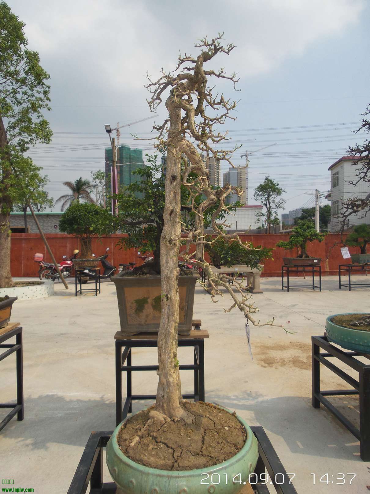20140907_143724.jpg
