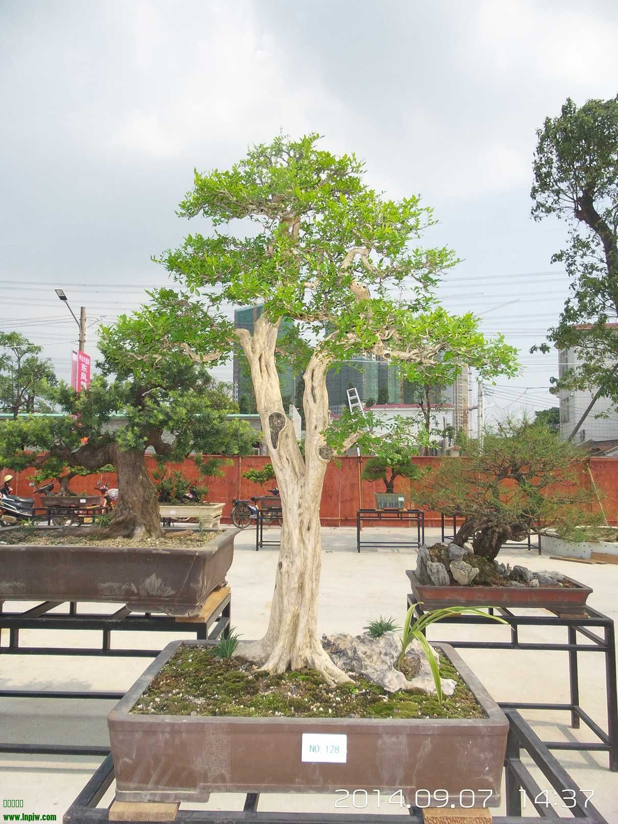 20140907_143736.jpg