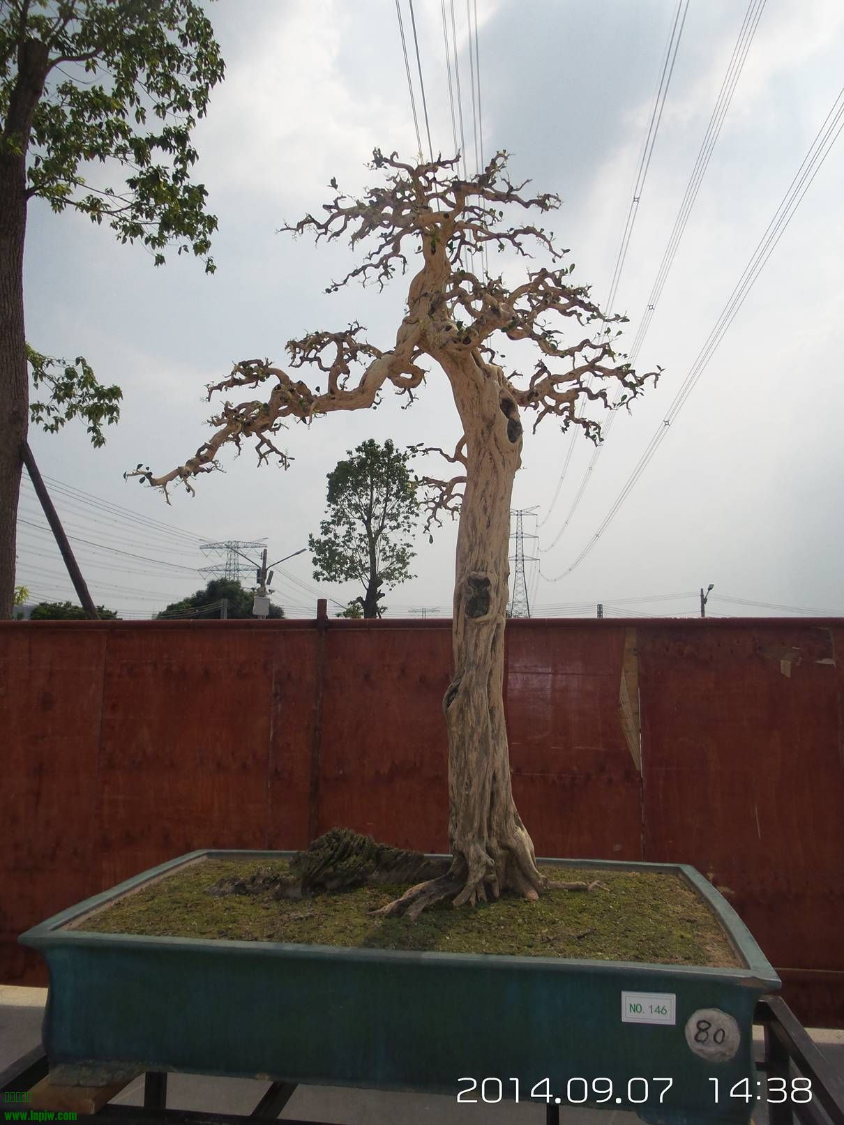 20140907_143820.jpg