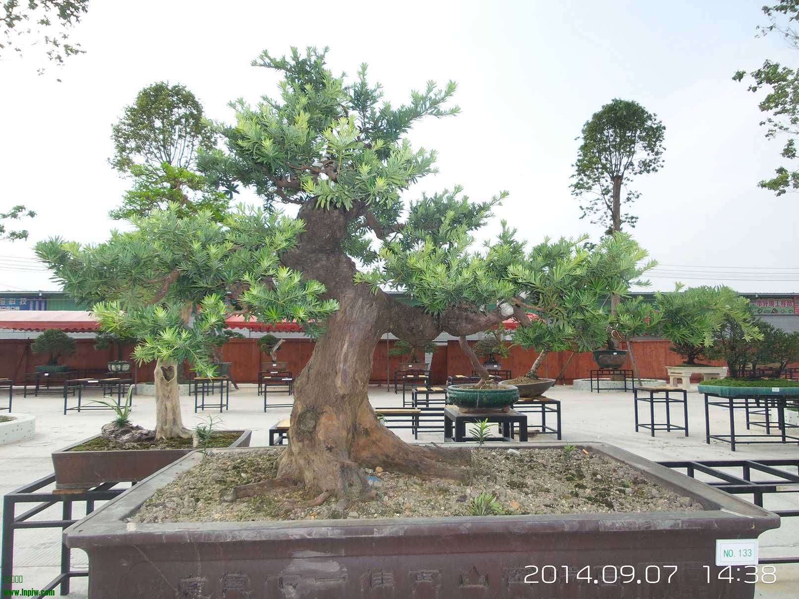 20140907_143842.jpg