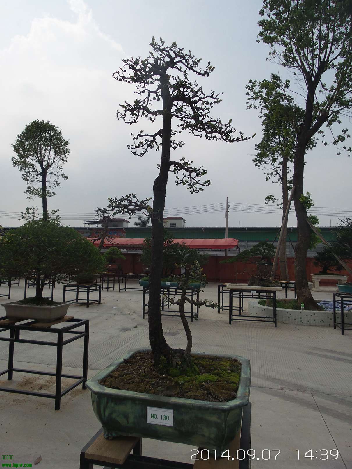 20140907_143915.jpg