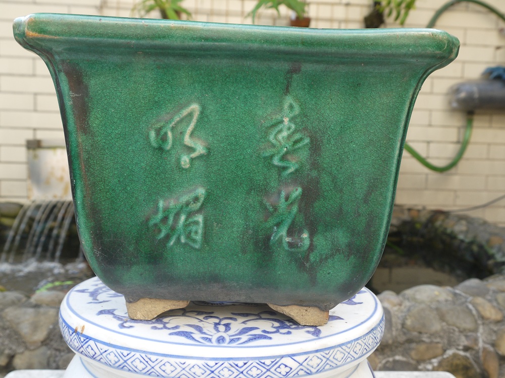 P1200584.JPG