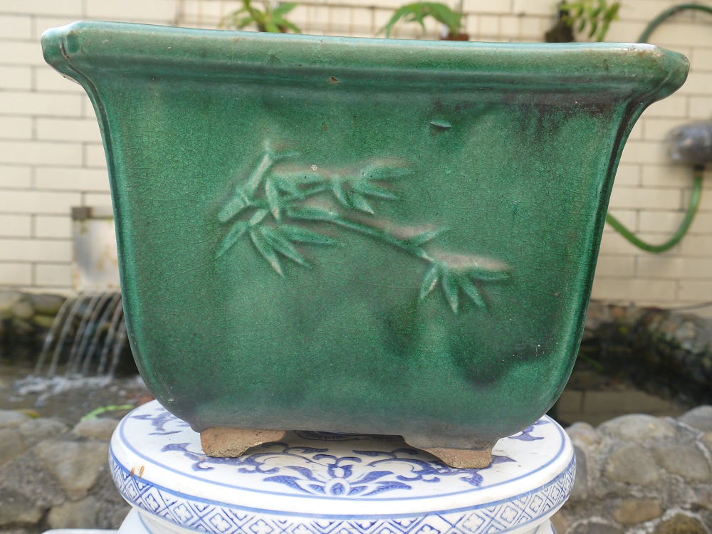 P1200585.JPG