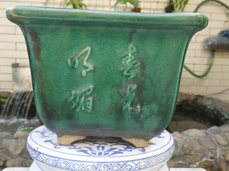 P1200584.JPG