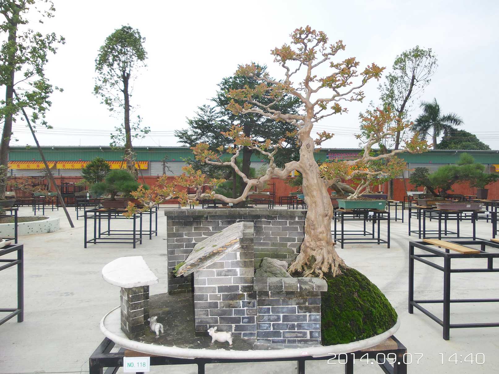 20140907_144030.jpg
