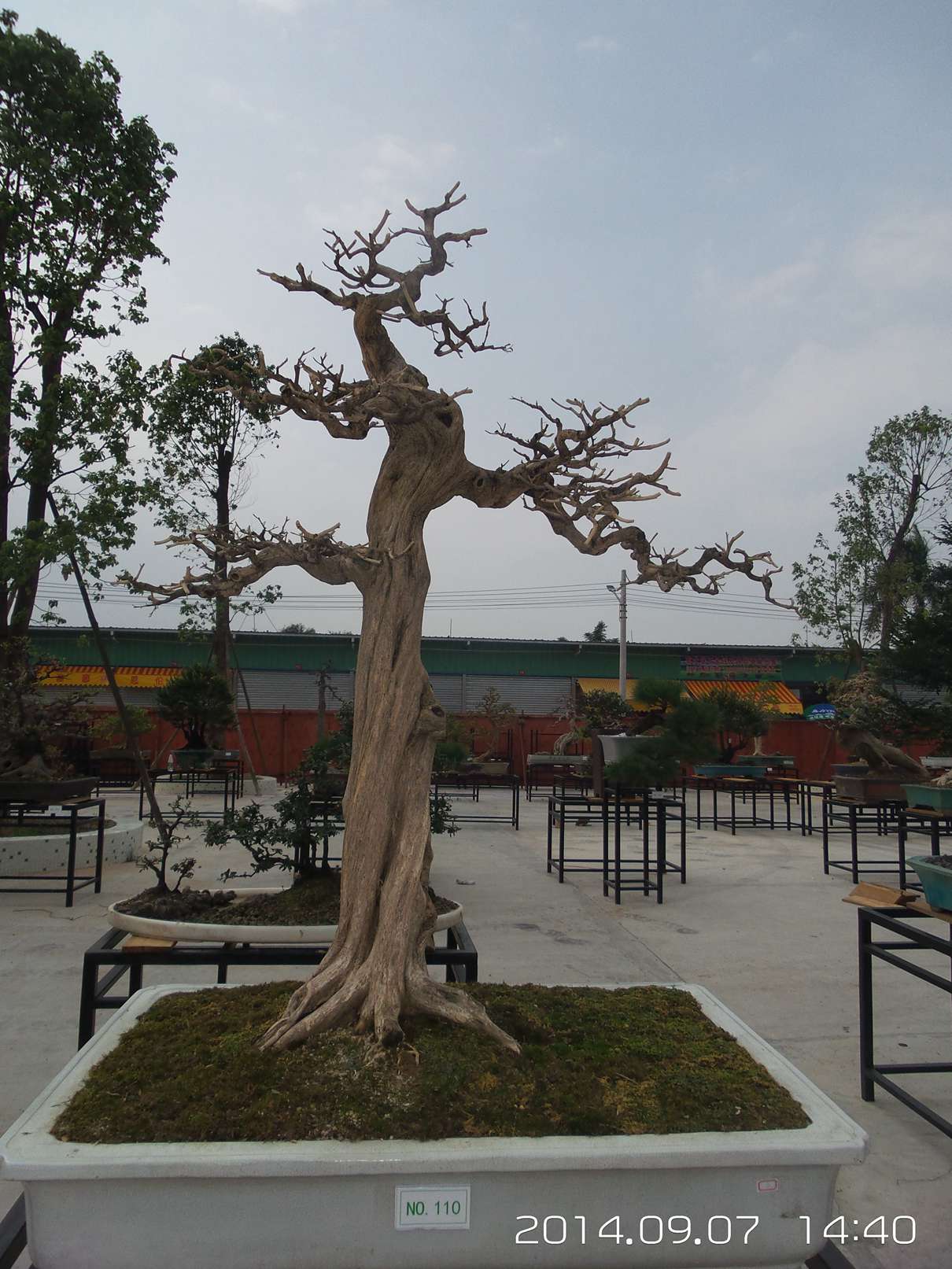 20140907_144021.jpg