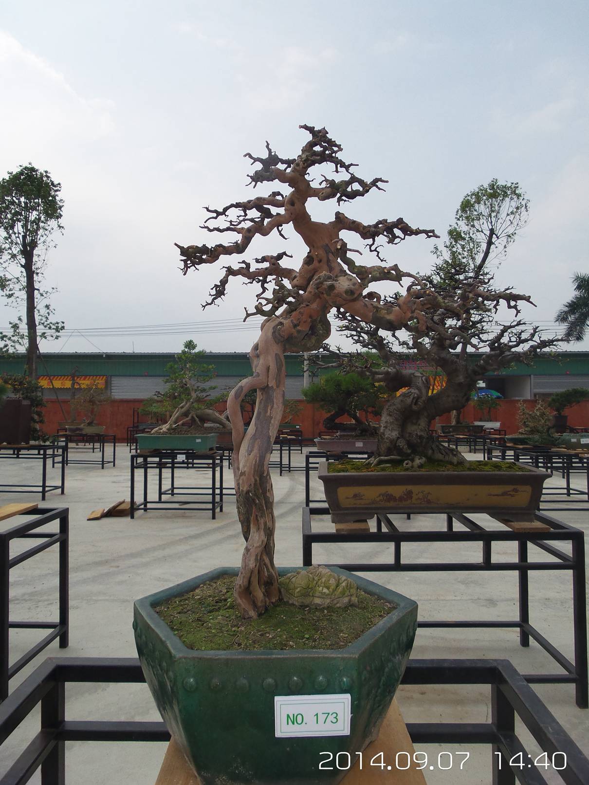 20140907_144041.jpg