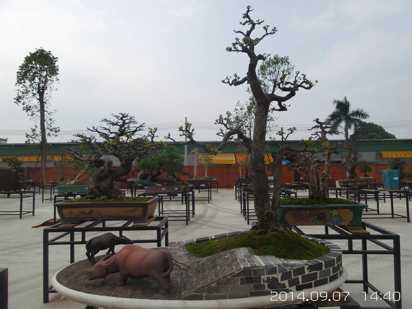 20140907_144053.jpg