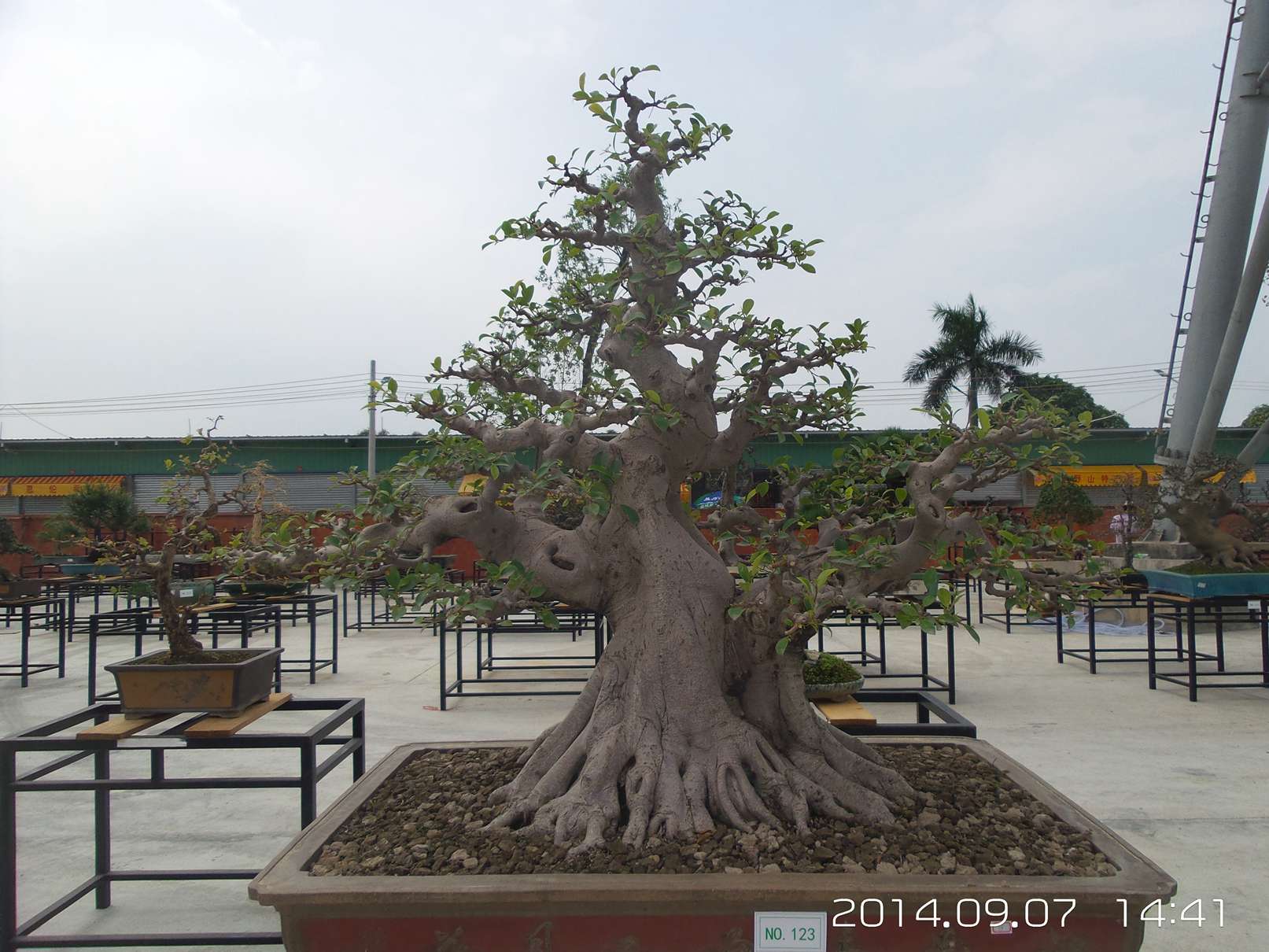 20140907_144115.jpg