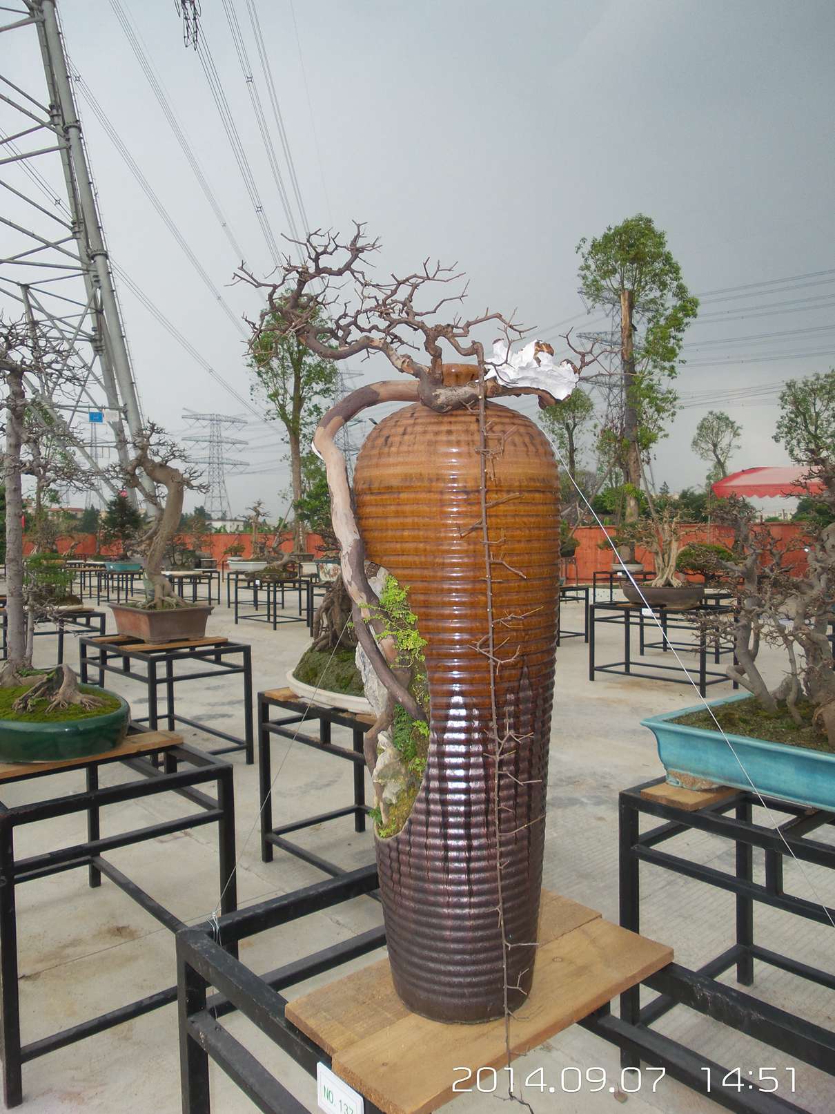 20140907_145143.jpg