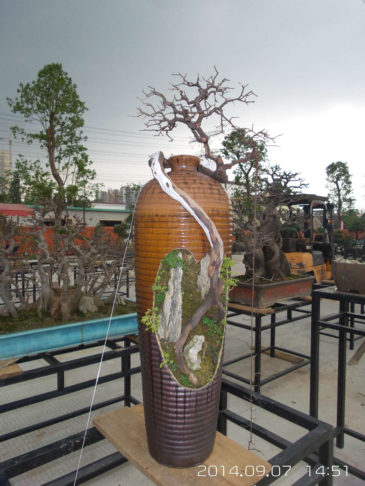 20140907_145153.jpg