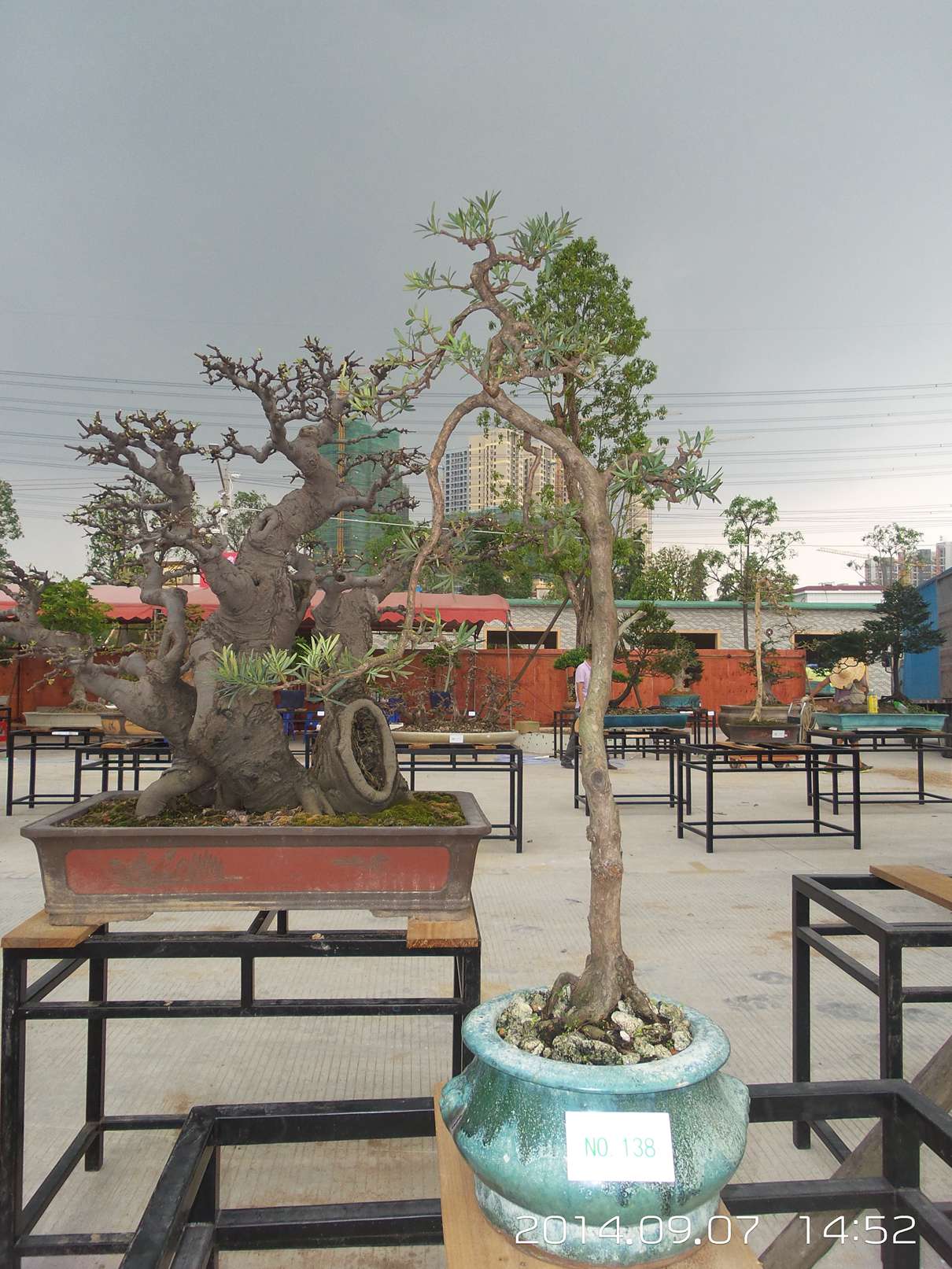 20140907_145205.jpg