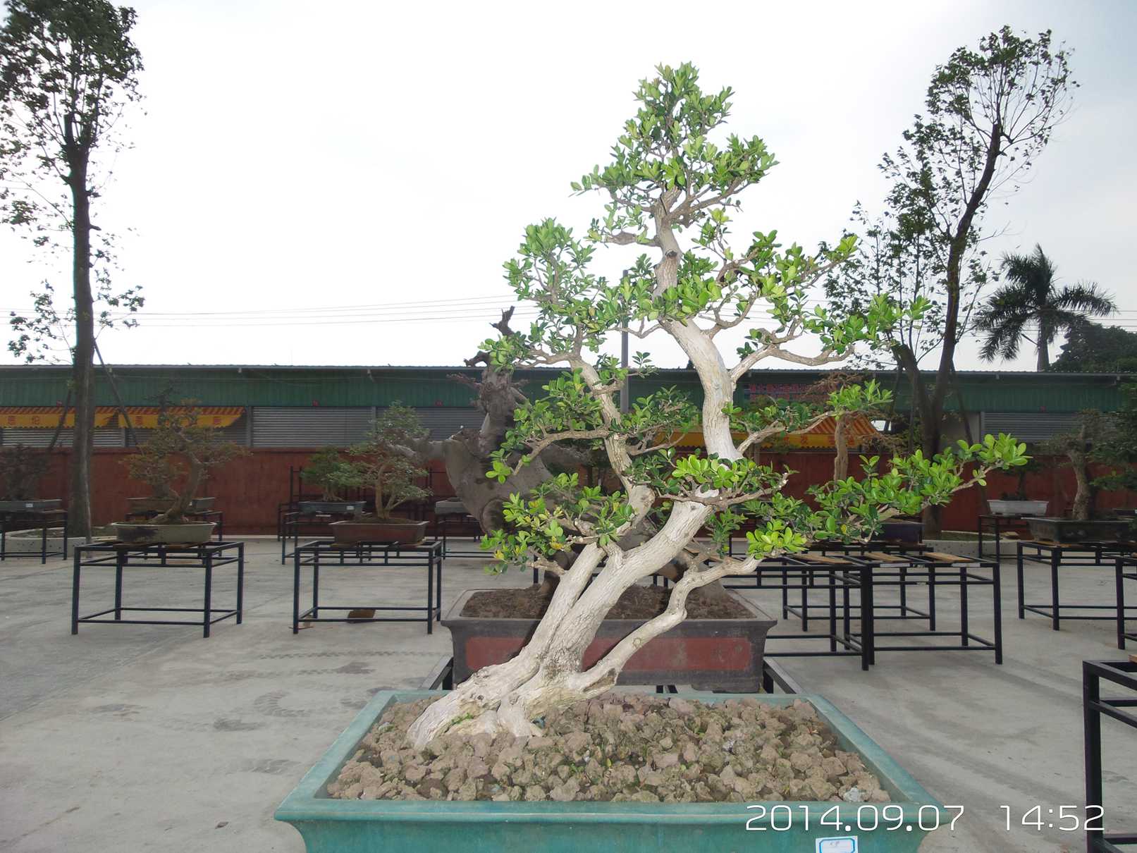 20140907_145236.jpg