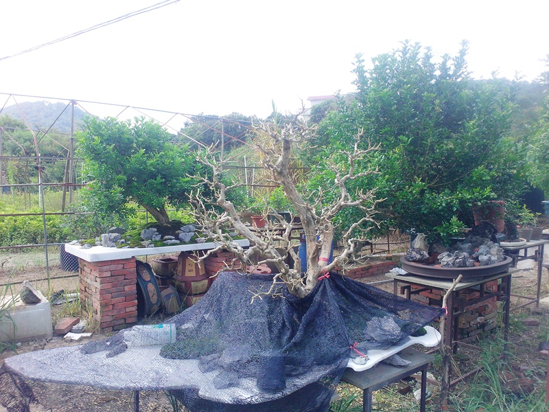 IMG20140904005.jpg