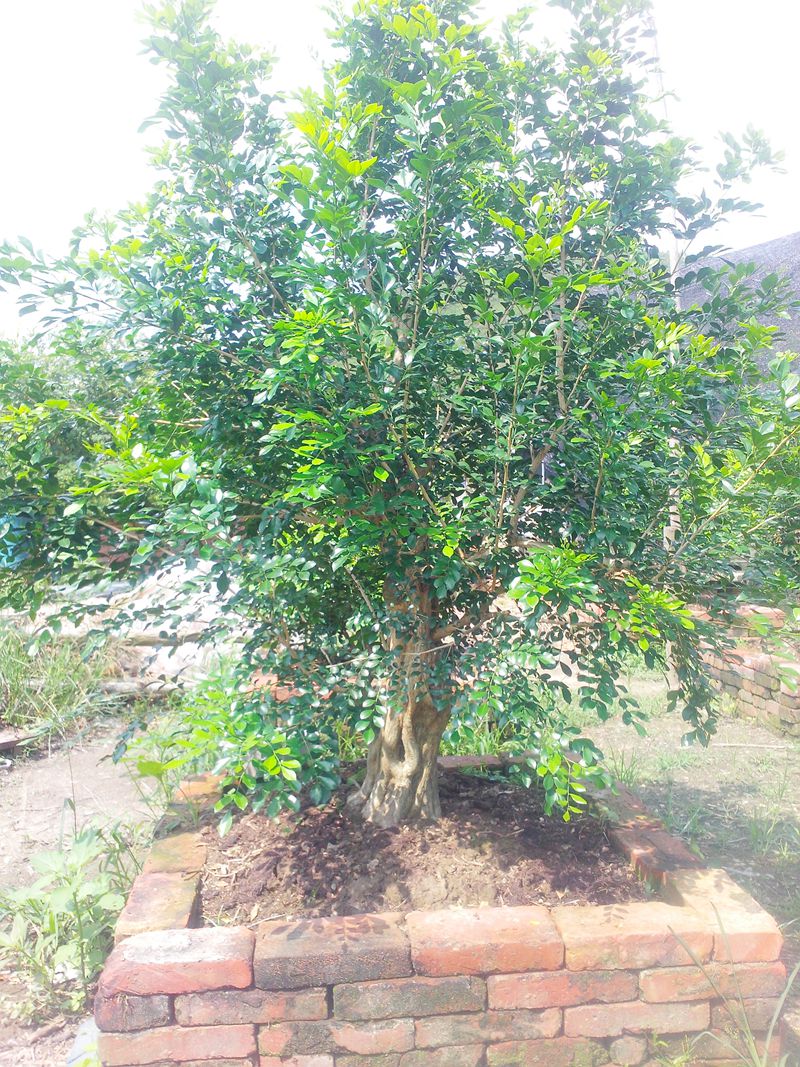 IMG20140904009.jpg