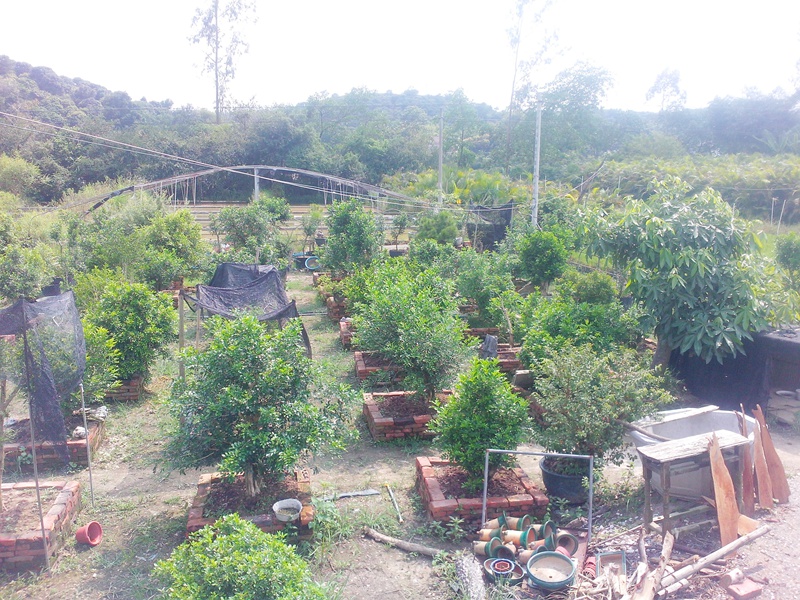 IMG20140904001.jpg
