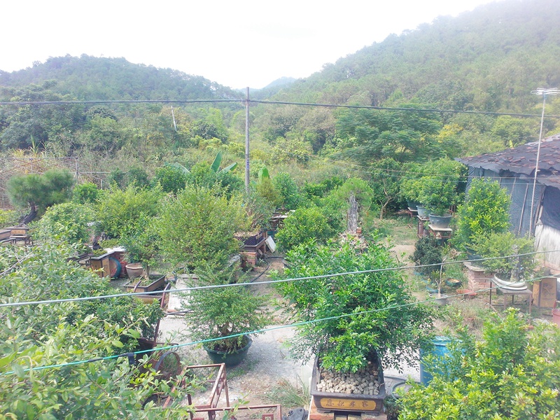 IMG20140904002.jpg