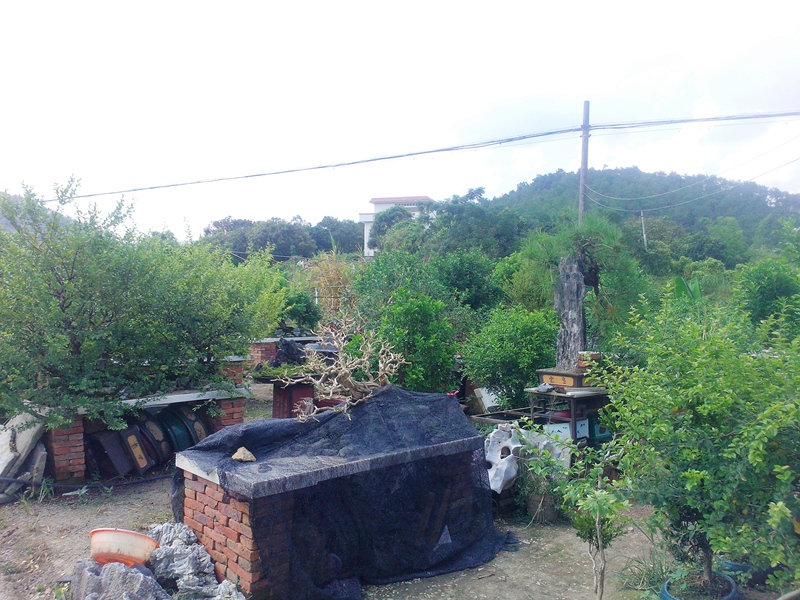 IMG20140904004.jpg