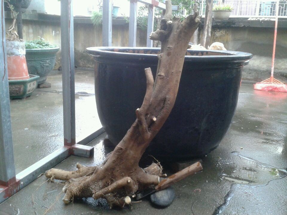 QQͼƬ20140313115351.jpg