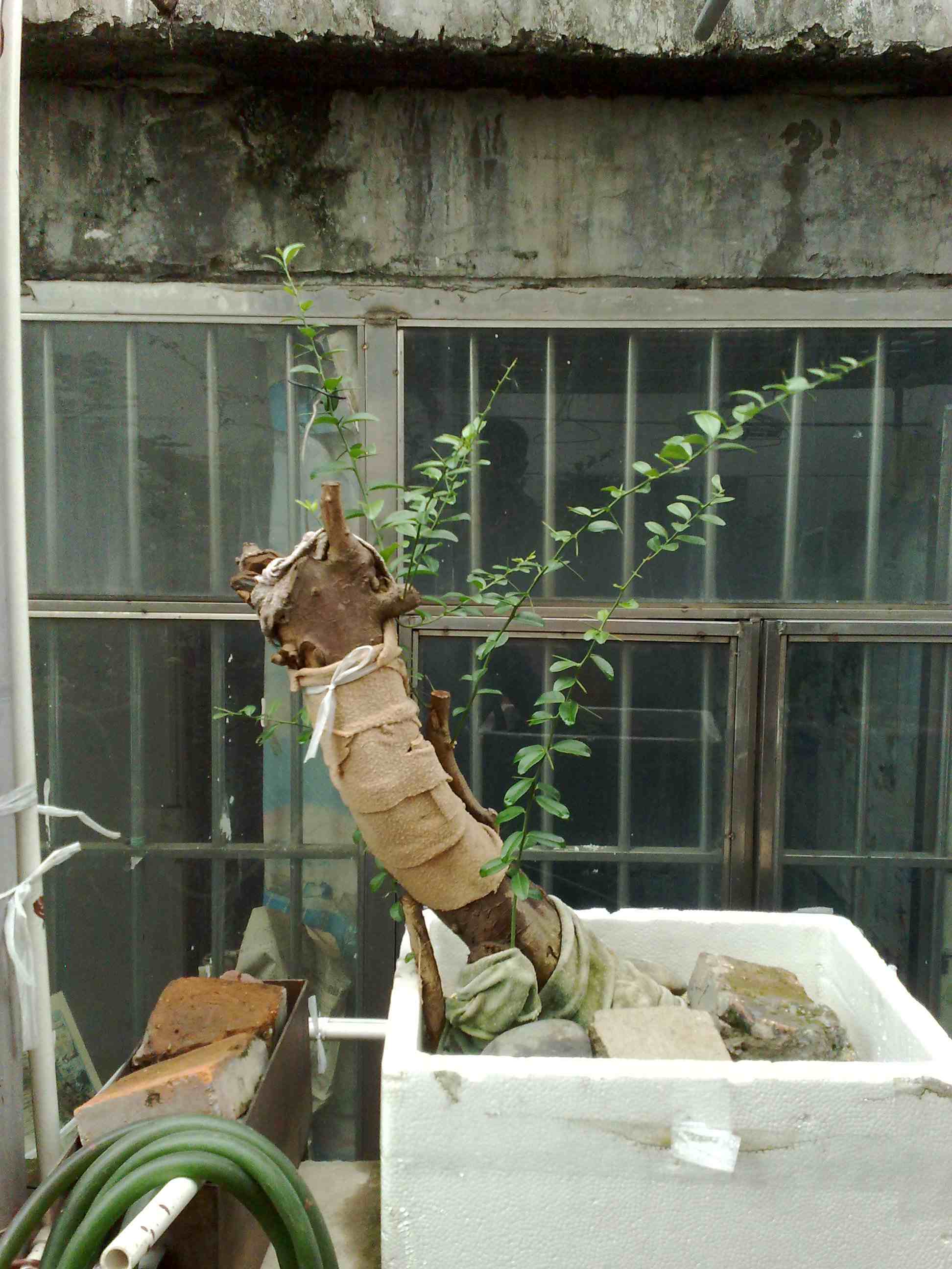201407251174.jpg