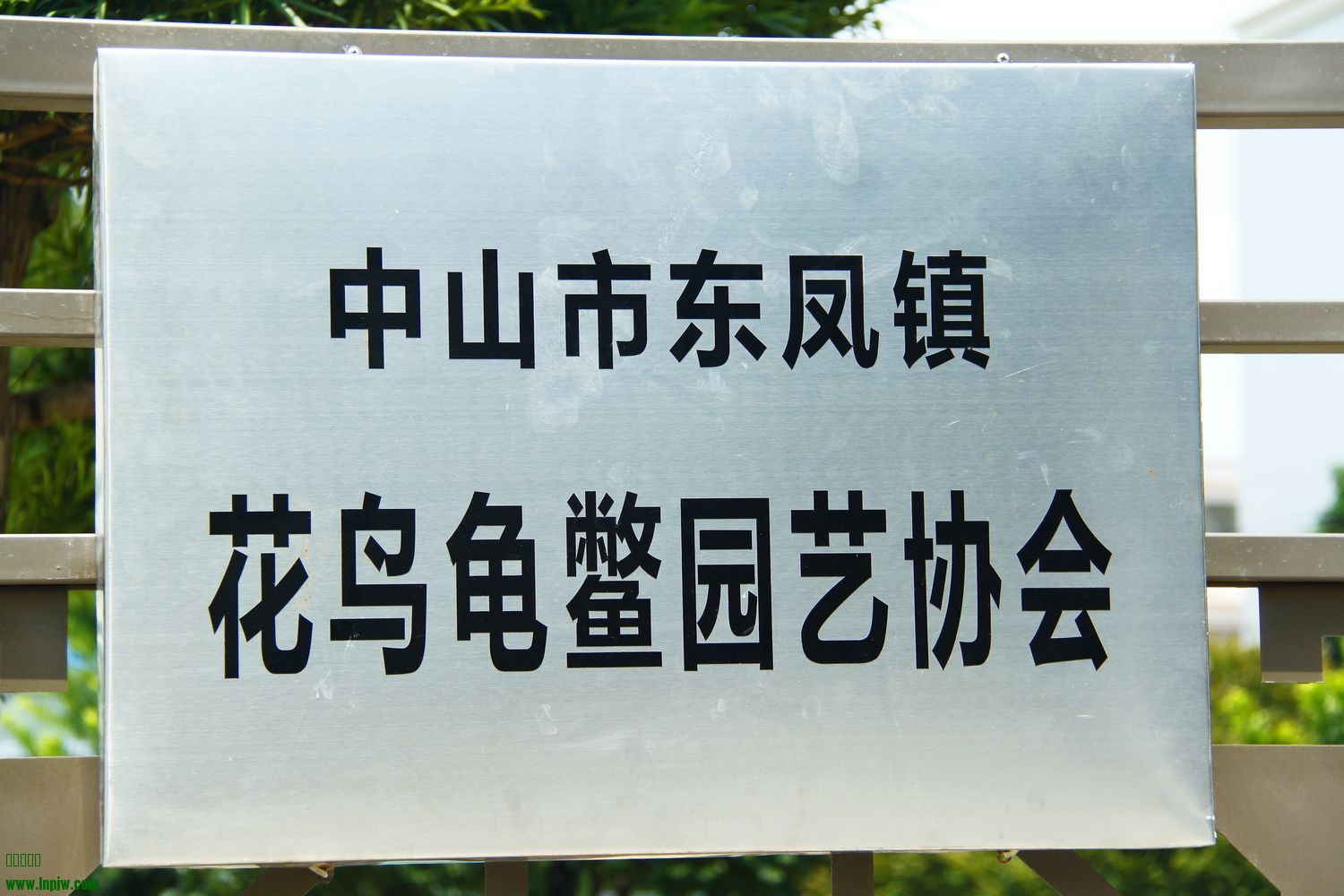 _MG_4588.jpg