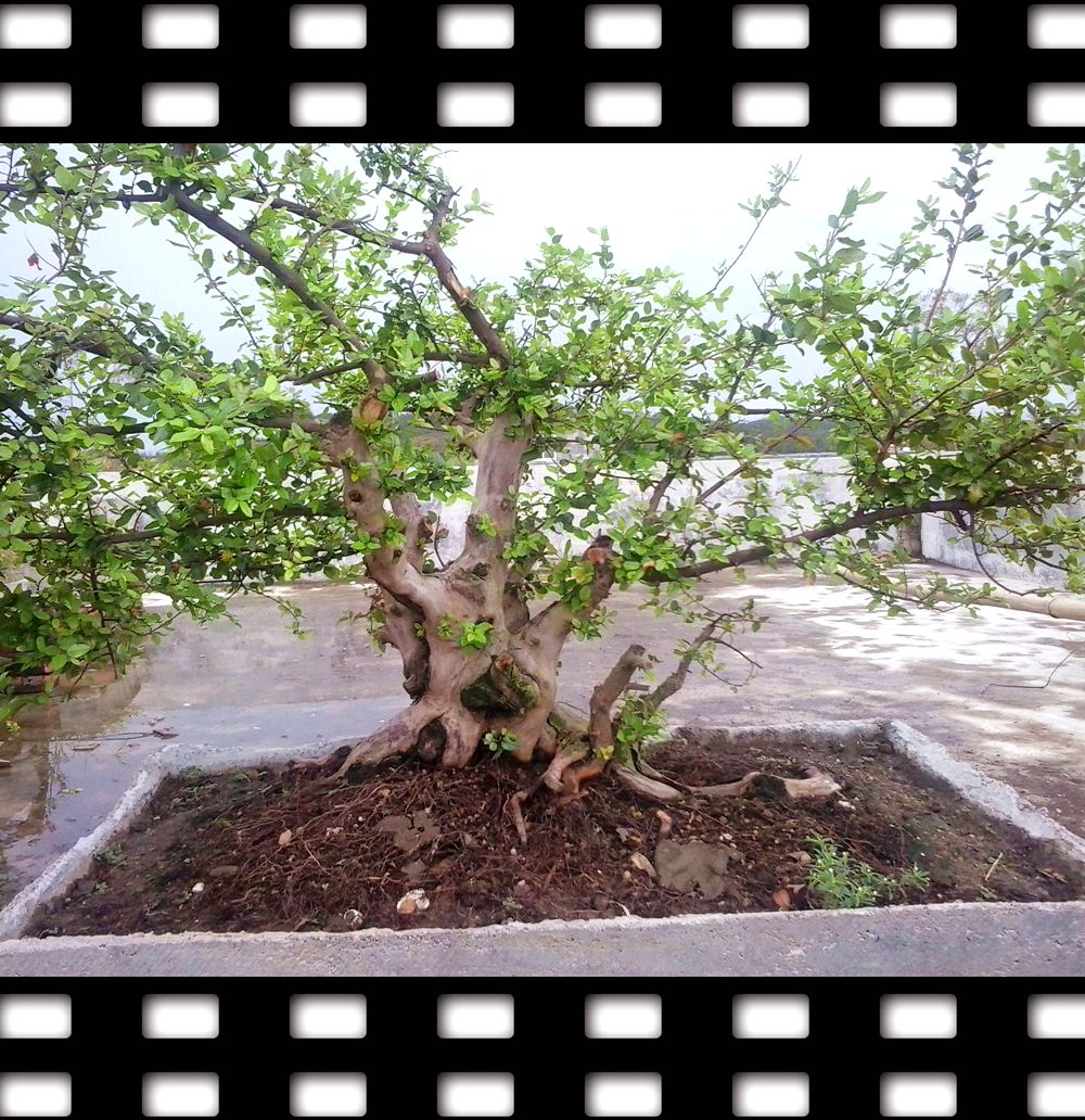20140808_084522.jpg