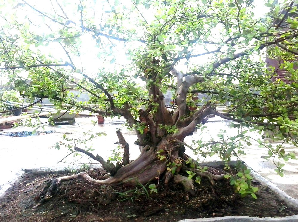 20140808_084549.jpg