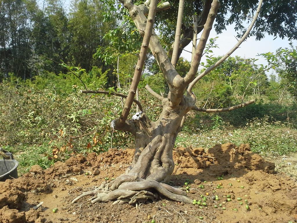 20130305_104731.jpg