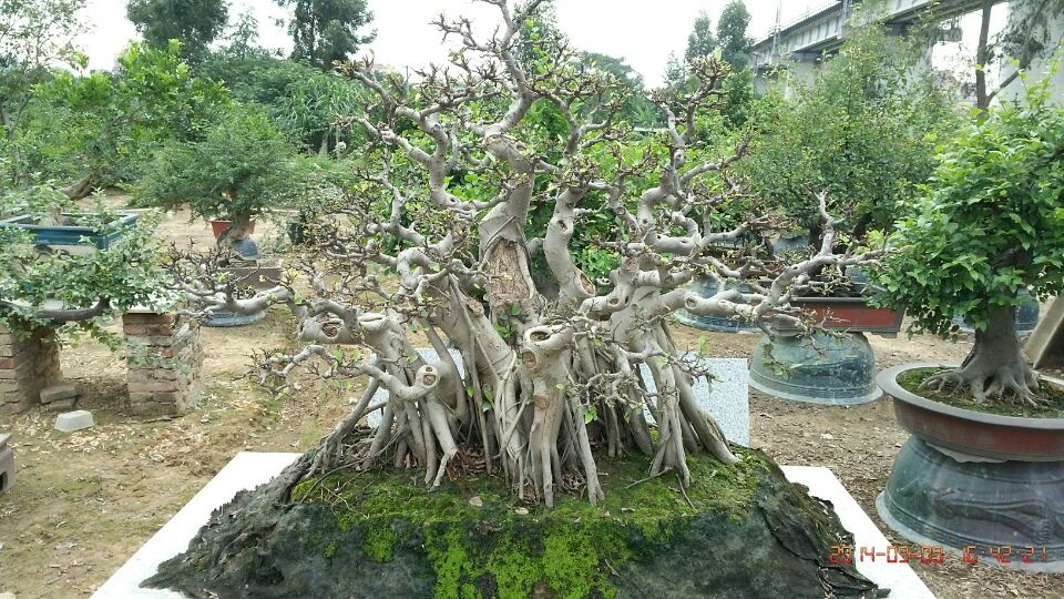 QQͼƬ20140913221933.jpg