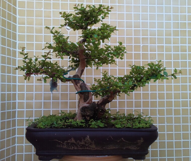 QQͼƬ20140915232956.jpg