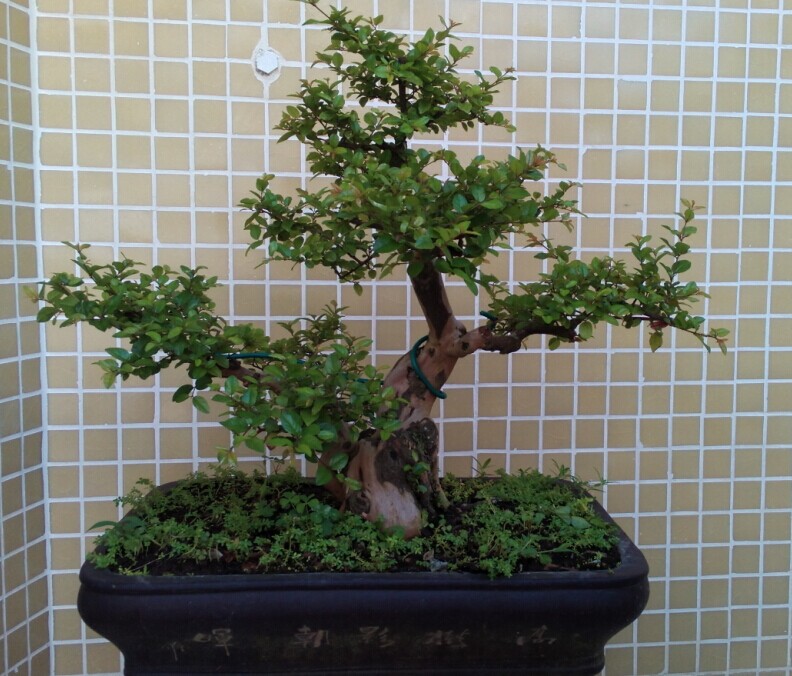 QQͼƬ20140915233010.jpg