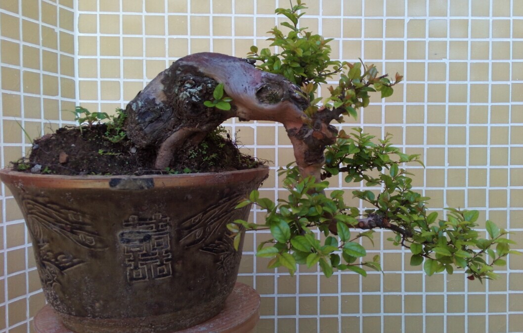 QQͼƬ20140915233019.jpg