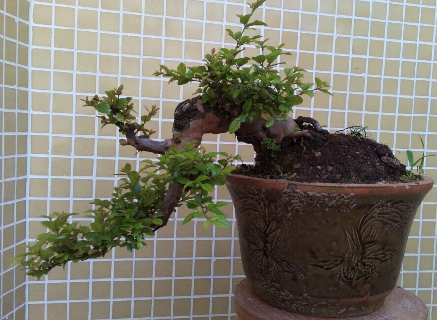 QQͼƬ20140915233027.jpg