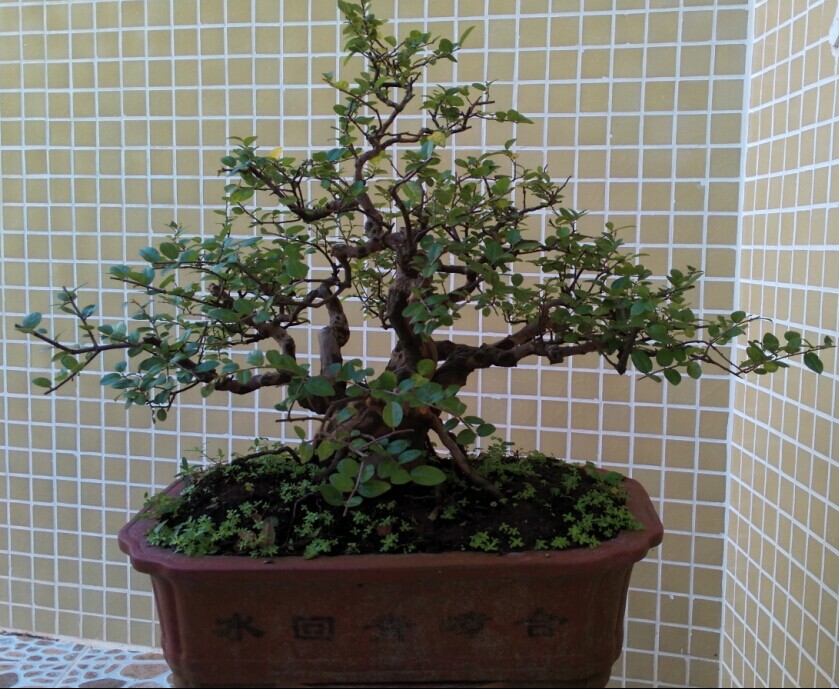 QQͼƬ20140915233041.jpg