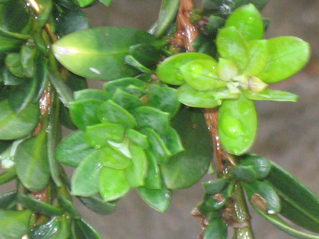 IMG_8861.JPG