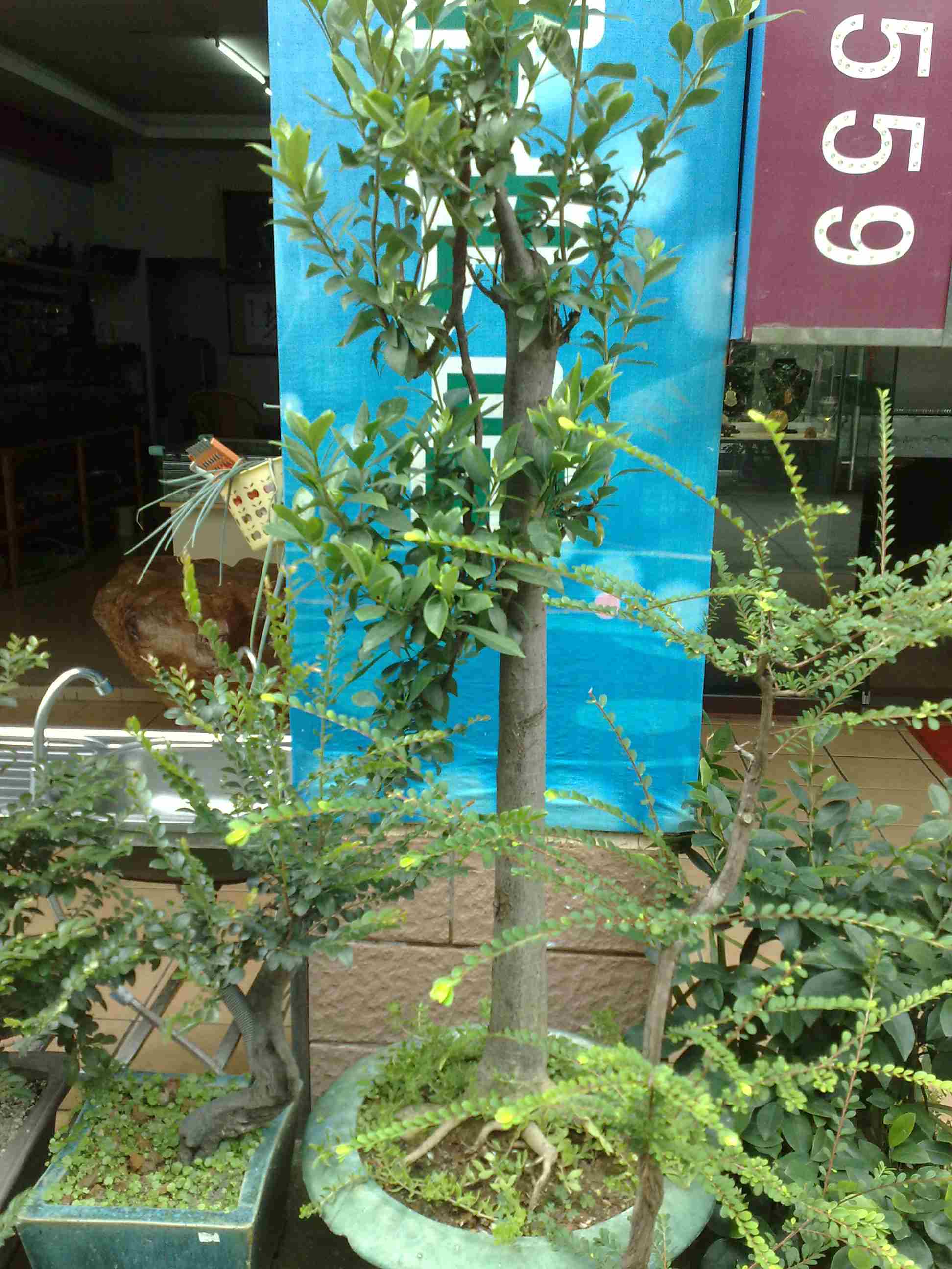 201409161282.jpg