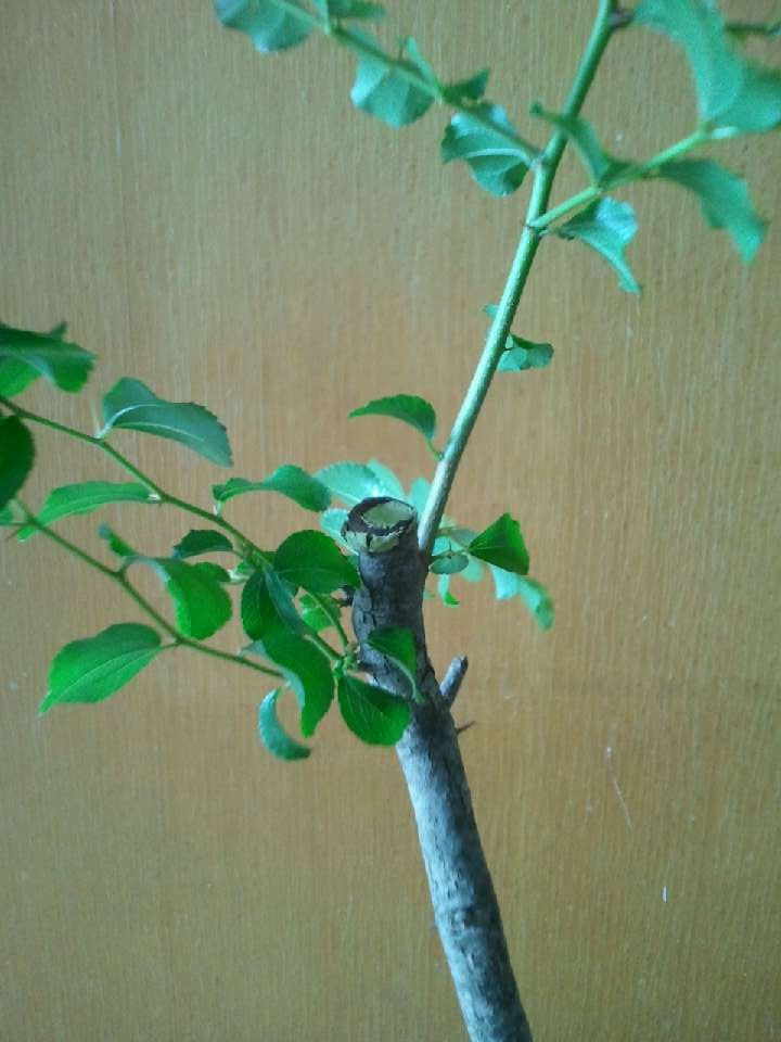 QQͼƬ20140916194810.jpg